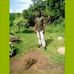 Peter Chacha - Facebook