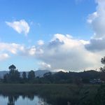 Chan Tak Cheung - @peter.chantc - Instagram