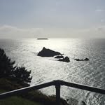 Peter Chant - @peterchant - Instagram