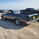 Peter Charbonneau - @1bumpershiner - Instagram