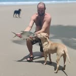 Peter Chaves - @peter.chaves - Instagram