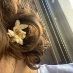 p - @peter_chayeb - Instagram