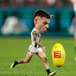 Peter Chee - @e85_jet - Instagram