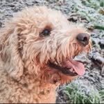 petercheeck - @petercheeck - Instagram