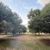 Peters chestnut farm - @peterschestnutfarm - TikTok