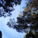 Peter Chiasson - @peter_chiasson - Instagram