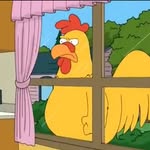 Peter Chicken fight. - @peter.chicken.fight.daily - Instagram