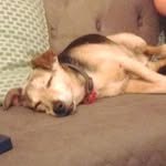 Peter Chick - @peter.chick.58 - Instagram