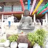 Peter Chin - @peter.chin4 - TikTok