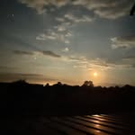 V_M_H - @peter_choai - Instagram