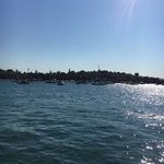 Peter Chow - @peter.chow.581 - Instagram