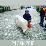 Peter Chow - @peterchow711 - Instagram