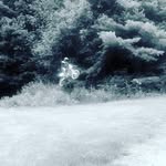 Peter Cicero - @pac12704 - Instagram
