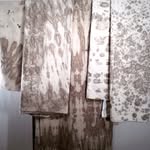 Peter Ciesla - Textile Art - @peterciesla.textileartist - Instagram