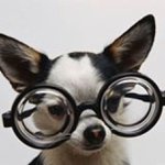 Peter Cintron - @dino6716 - Instagram