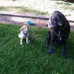 pcirils - @peter_j_cirillo - Instagram