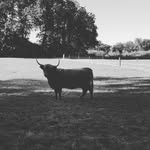 Peter Clauss - @francoalaska - Instagram