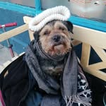 Peter Close - @peterclose6 - Instagram