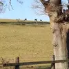 Peter Clough - @peter.clough1 - TikTok