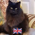 Peter Clover - @denbee747 - Instagram