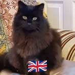 Peter Clover - Facebook