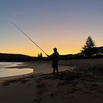 Peter Coco - @petemalee - Instagram