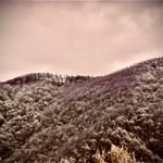 Peter - @petercocoa - Instagram