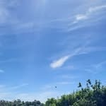 Peter Coen - @coen7060 - Instagram