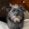 Peter Coffin - @peterdcoffin - TikTok
