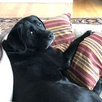 Peter Coffin - @potat55 - Instagram