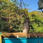 Peter Coghlan - @therealdirtypedro - Instagram