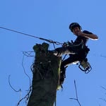 Peter Cole - @cole_petey - Instagram
