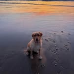 Peter Cole - @petercole1972 - Instagram