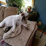Peter Colebrook - @petercolebrook - Instagram