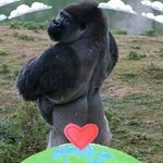 Peter Colley - @peter.colley.397 - Instagram