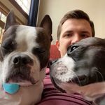 Peter Colley - @peteypedro - Instagram