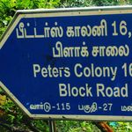 peter's colony memes - @peters_colony_memes - Instagram