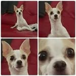 Peter Colon - @iwishiwaswiddz - Instagram