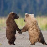 Peter Colton - @peter.colton.7 - Instagram