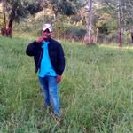 Peter Combe - @peter.combe.923 - Instagram
