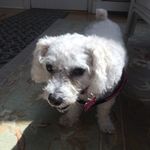 I Am Better Than - @petercombest14 - Instagram