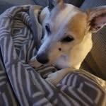 Peter Combs - @petercombs99 - Instagram