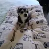Peter Conde - @peter.conde6 - TikTok