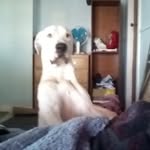@peter_condon06 - Instagram