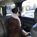 Peter Conklin - Facebook
