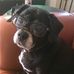 Peter Constantine - Facebook