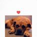 Peter Cook - Facebook
