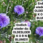 Peter  Coombes - @gartenpflanzenhandel - Instagram