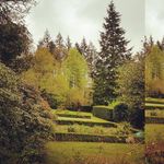 Peter Cooper - @petercooper1a - Instagram