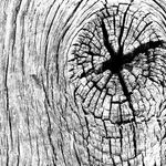 Peter Cooper - @why.knot.wood - Instagram
